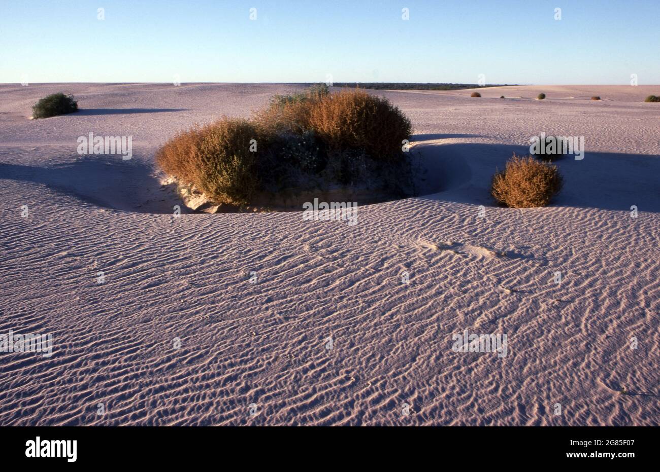 PAYSAGE DÉSERTIQUE DANS LA RÉGION DU PATRIMOINE MONDIAL DES LACS WILLANDRA QUI S'ÉTEND SUR LES ANCIENS LITS DE LACS SECS. OUTBACK NOUVELLE GALLES DU SUD, AUSTRALIE. Banque D'Images