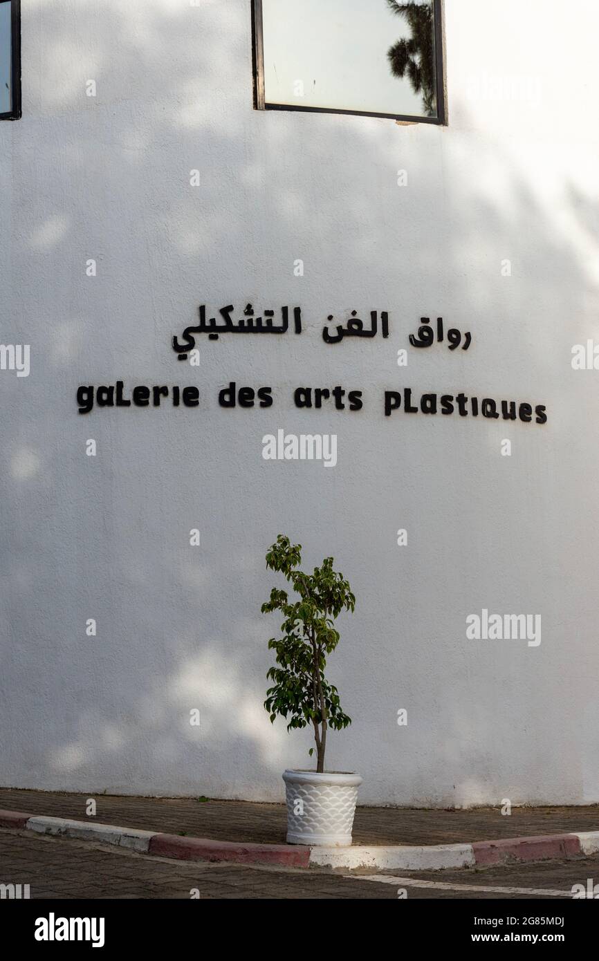 Texte de la Galerie des Beaux-Arts en arabe et en français. Banque D'Images