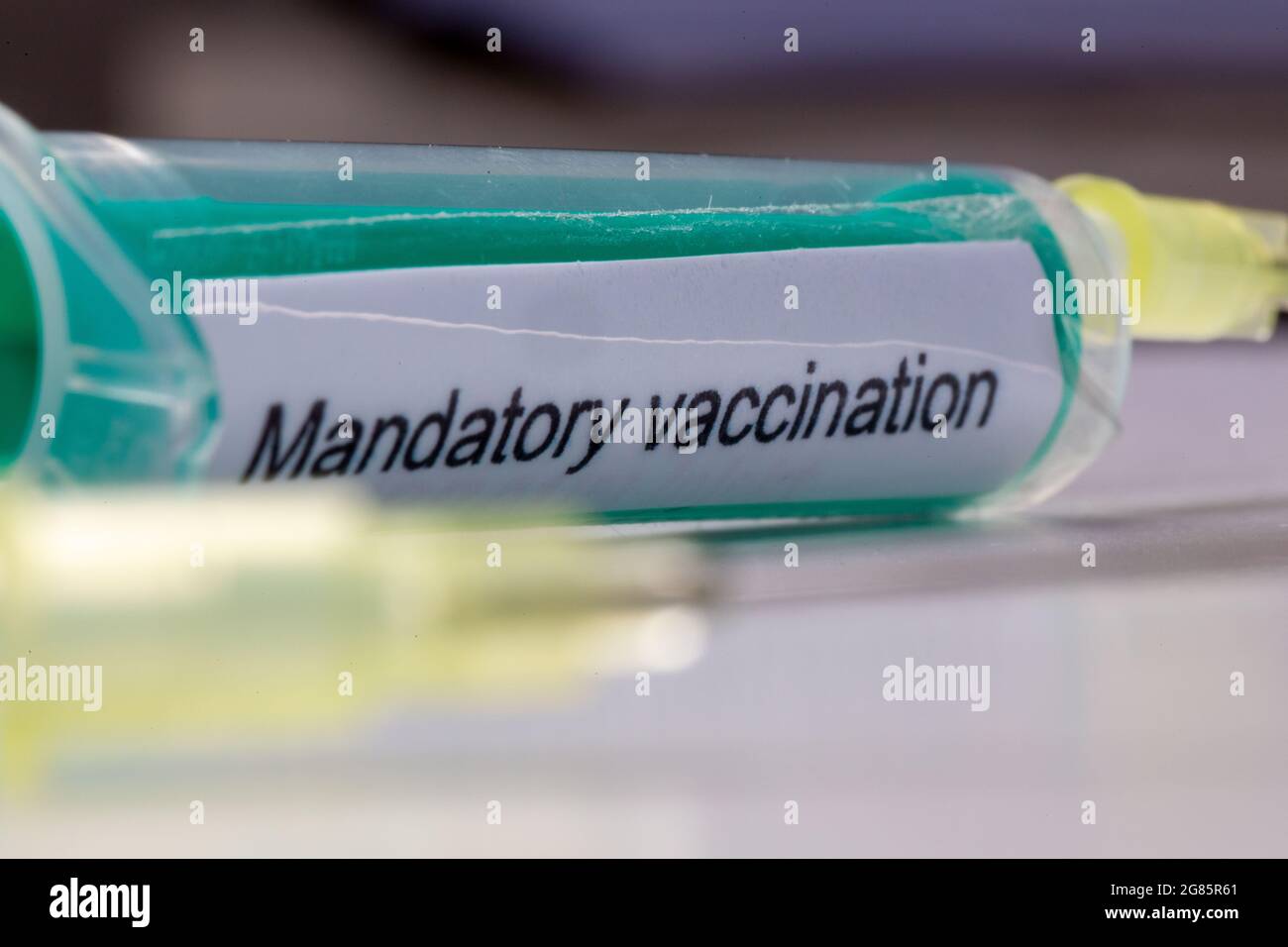 Aiguille hypodermique avec l'inscription vaccination obligatoire, image symbolique Banque D'Images