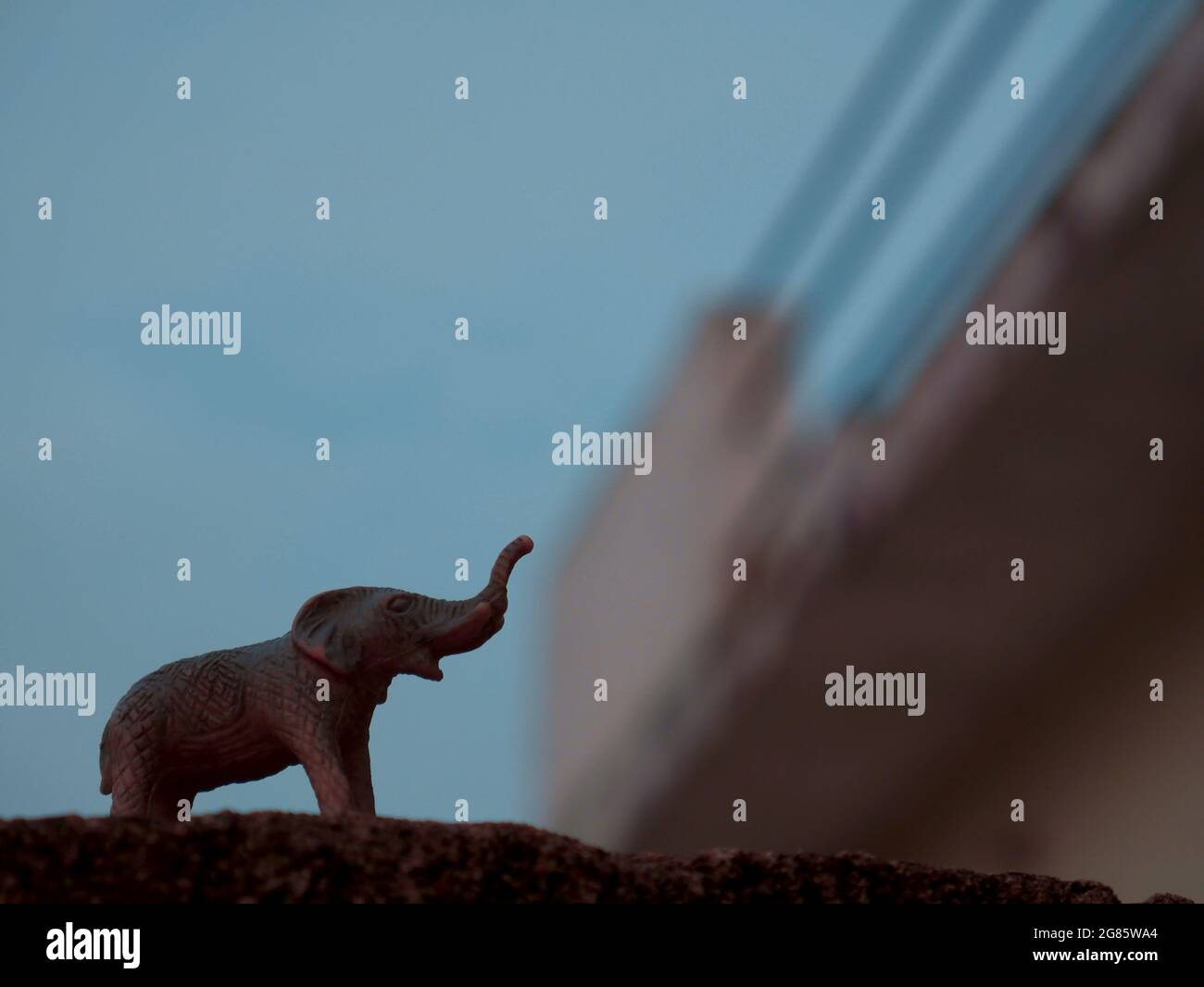 Plastique éléphant jouet animal présentation près de maison architecture flou avec fond de ciel. Banque D'Images