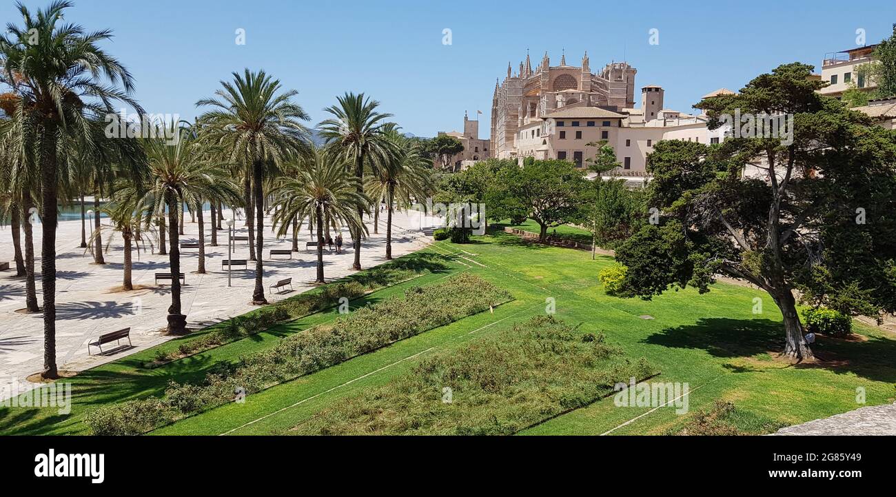 Palma, Majorque, Baléares, Espagne Banque D'Images