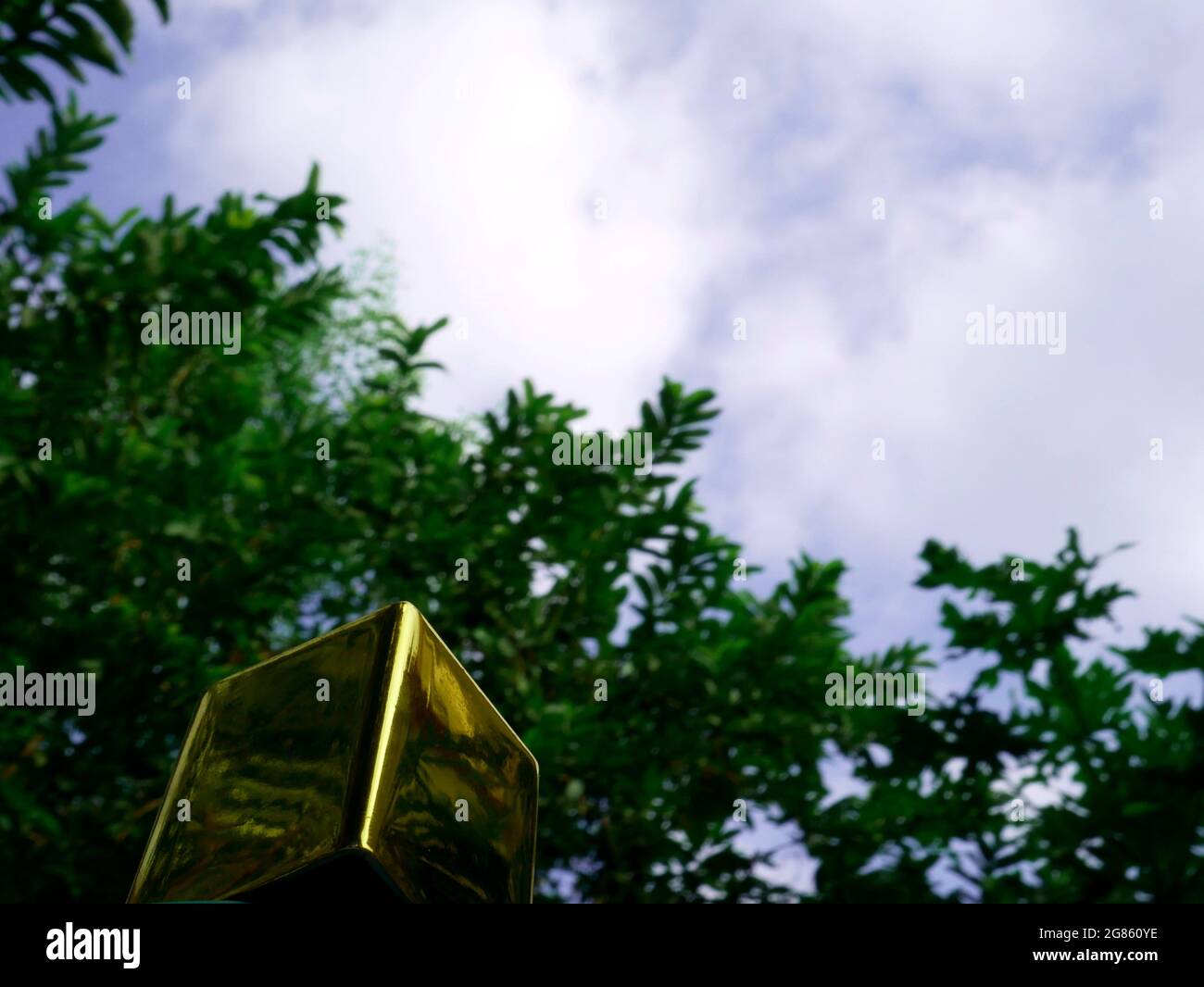 Boîte cadeau dorée présentée sur fond d'arbre vert naturel avec fond ciel. Banque D'Images