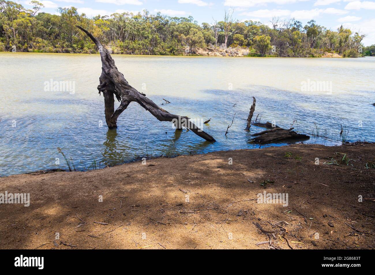 Murray River à Dareton, Nouvelle-Galles du Sud, Australie, frontière avec Victoria Banque D'Images Murray River à Dareton, Nouvelle-Galles du Sud, Australie, frontière avec Victoria Banque D'Images