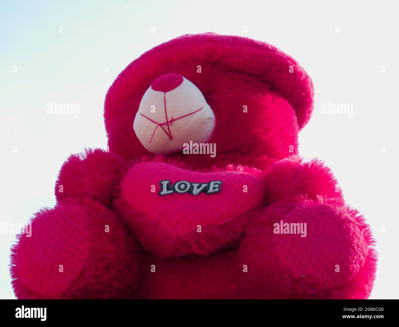 Grand ours animal doux jouet en rouge avec texte d'amour sur la forme de coeur isoler sur fond gris. Banque D'Images