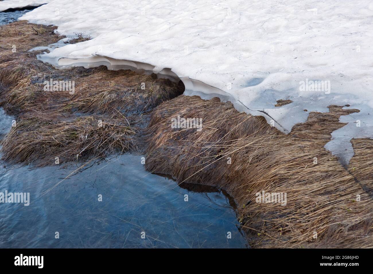 Fin de l'hiver, début du printemps : fonte de la neige formant une rivière Banque D'Images