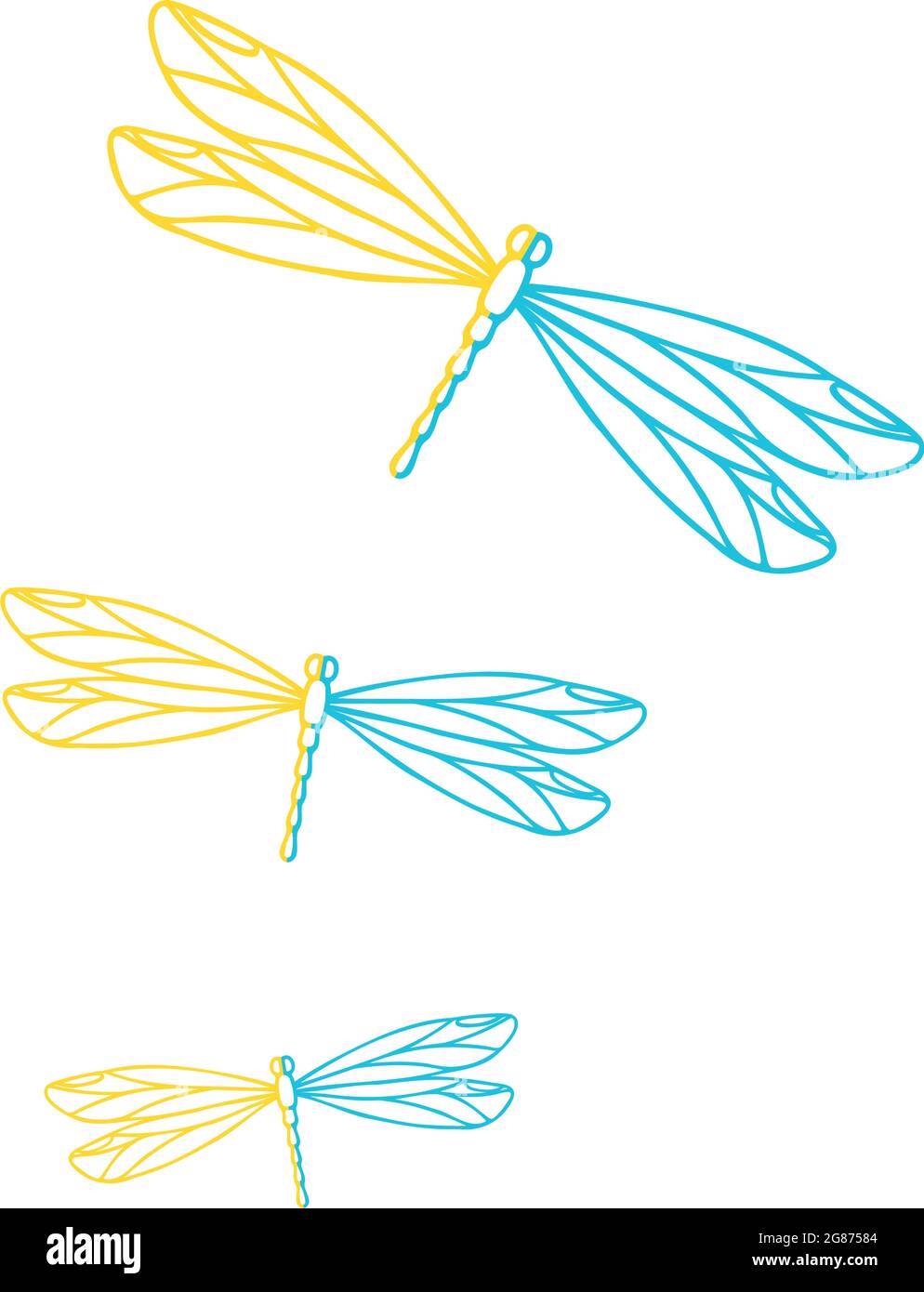 Bijoux Dragonfly. Trois libellules. Illustration vectorielle. Illustration de Vecteur