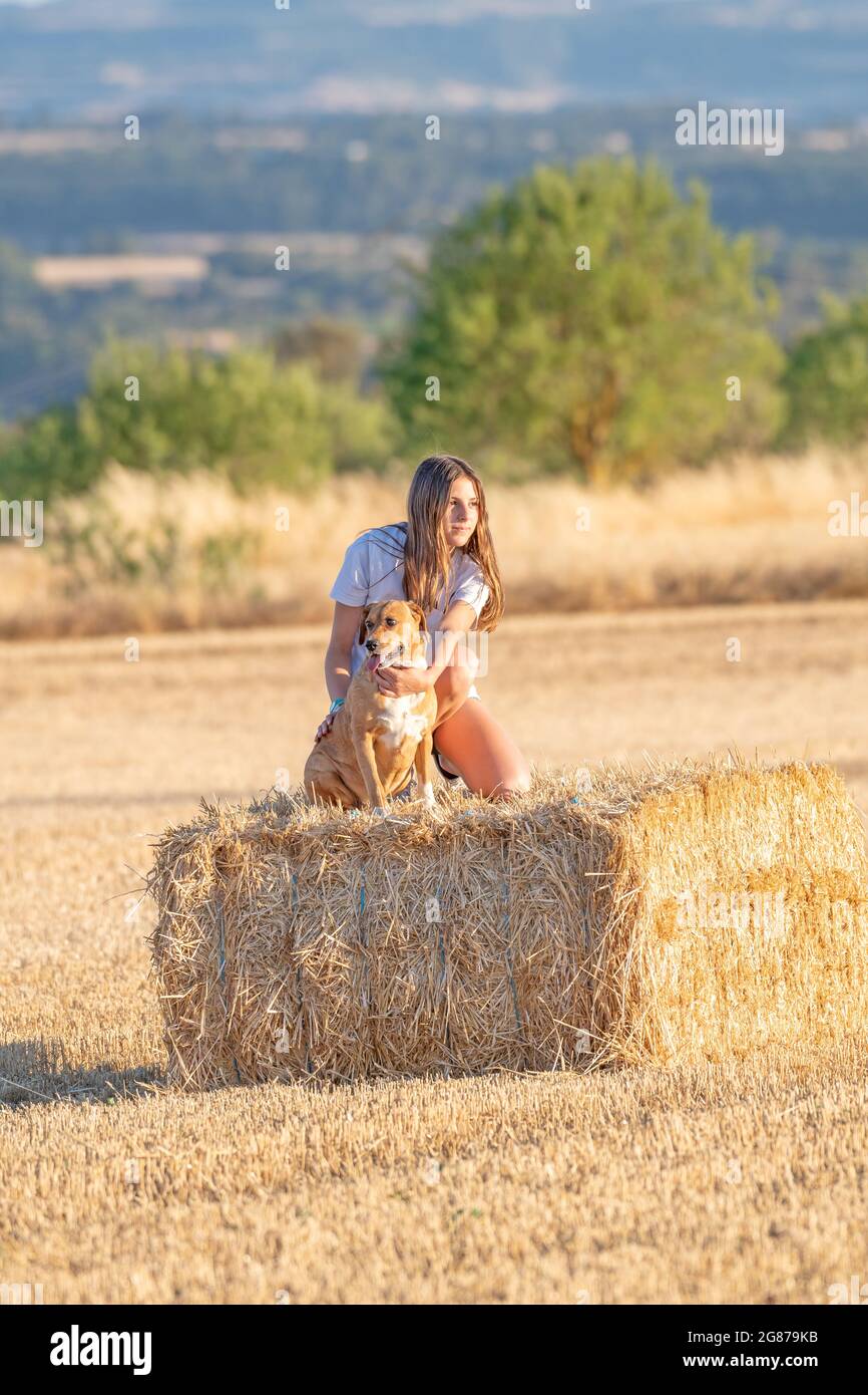 blonde latina adolescente portant un short et un t-shirt blanc embrassant un chien sur une balle de paille au milieu du chaume d'une céréale récoltée Banque D'Images