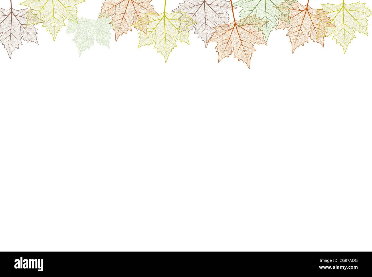 Cadre en feuilles d'érable. Illustration vectorielle. Couleurs d'automne modèle de carte graphique top boarder. Illustration de Vecteur