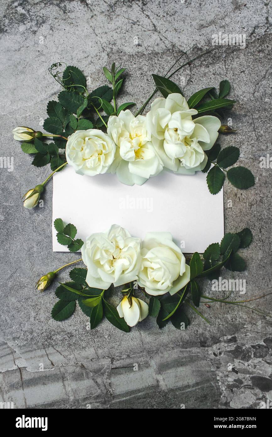 Carte de vœux blanche vierge avec bouquet de fleurs roses blanches, cadre floral. Accueil créatif. Belles fleurs et carte vierge. Invitation à un mariage romantique Banque D'Images Carte de vœux blanche vierge avec bouquet de fleurs roses blanches, cadre floral. Accueil créatif. Belles fleurs et carte vierge. Invitation à un mariage romantique Banque D'Images