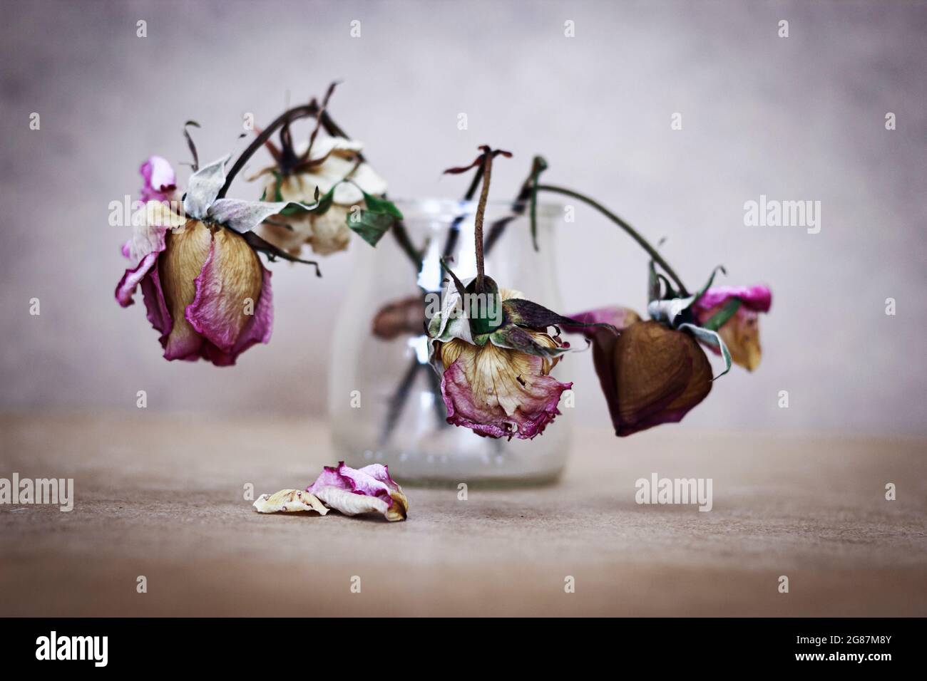 Encore la vie est au sujet d'être créatif, c'est une photo de plus prise pour l'auto-apprentissage Banque D'Images