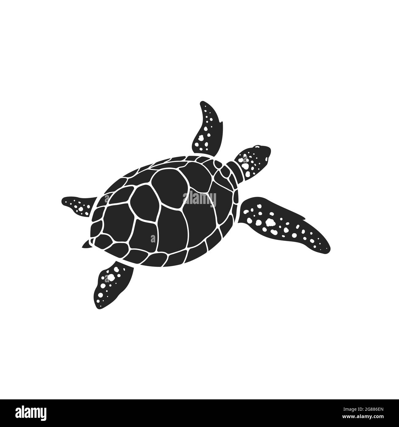 Motif vectoriel de tortue sur fond blanc. Reptile. Animaux. Illustration vectorielle superposée facile à modifier. Illustration de Vecteur