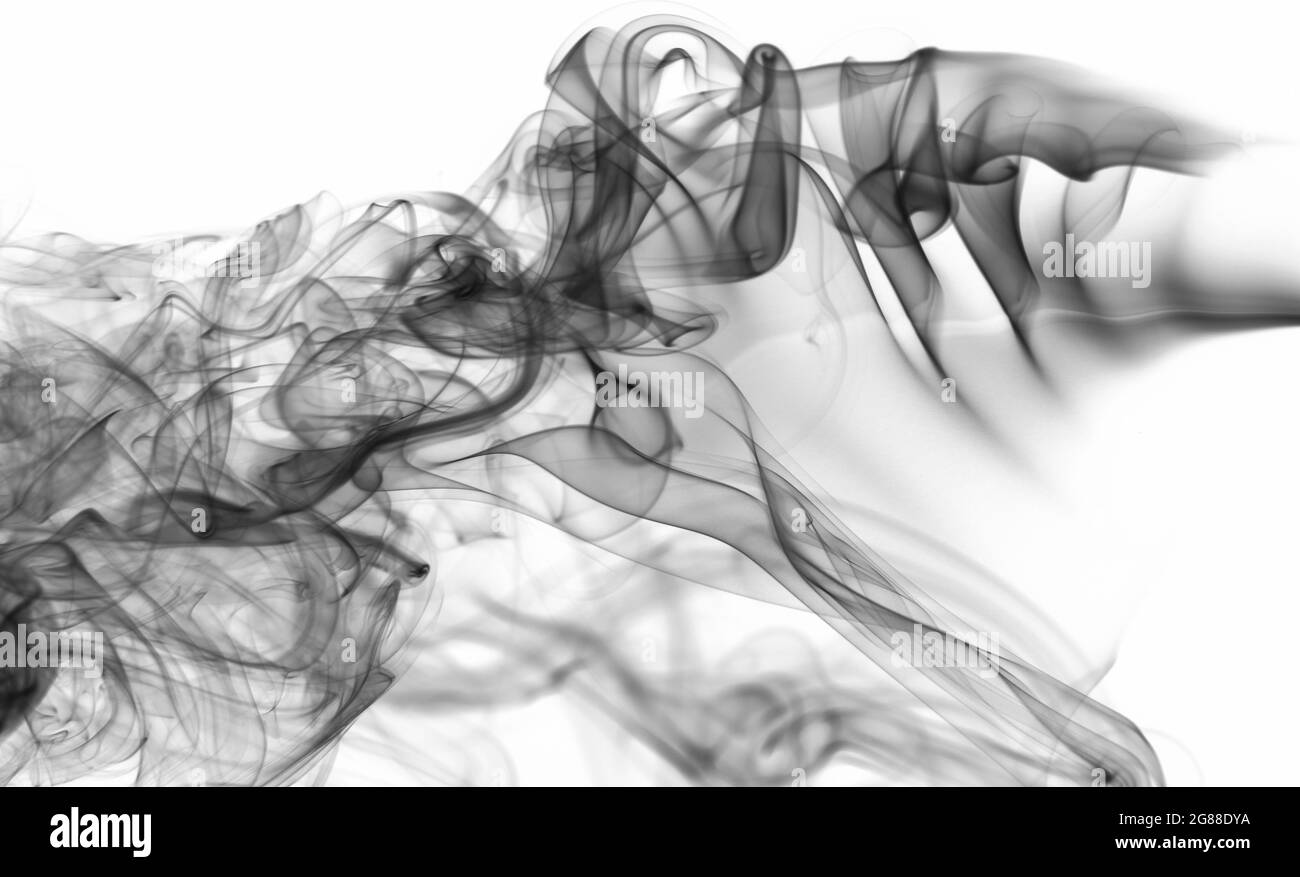 Effet de la fumée noire transparente sur fond blanc. Nuage de courbe de fumée abstraite Banque D'Images