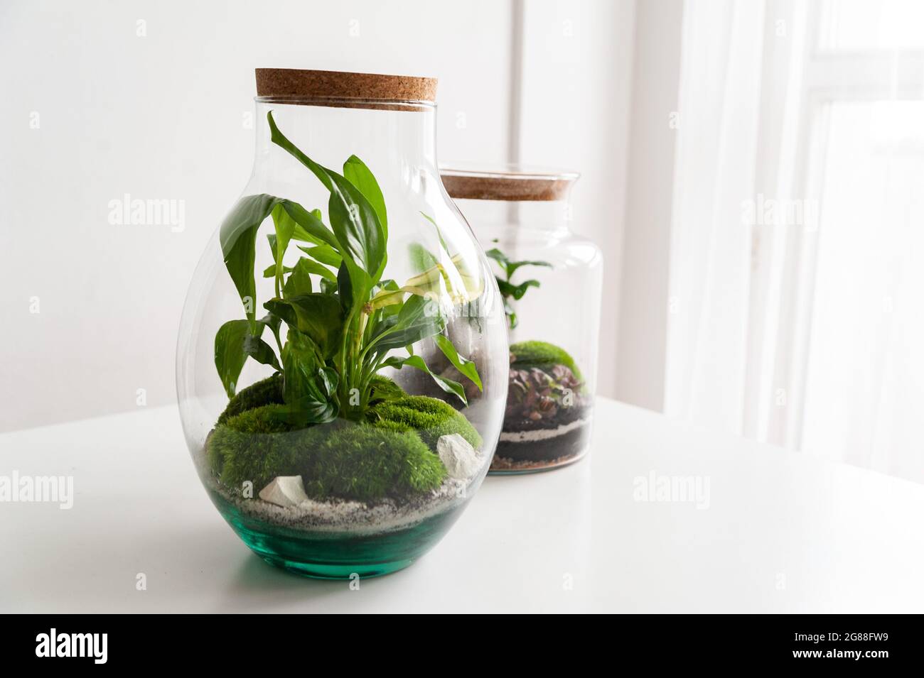 Pot Verre Plantes Grasses Pot En Verre Pour Plantes Grasses - Terrarium Déco Bureau Et Maison Terrarium Intérieur Déco