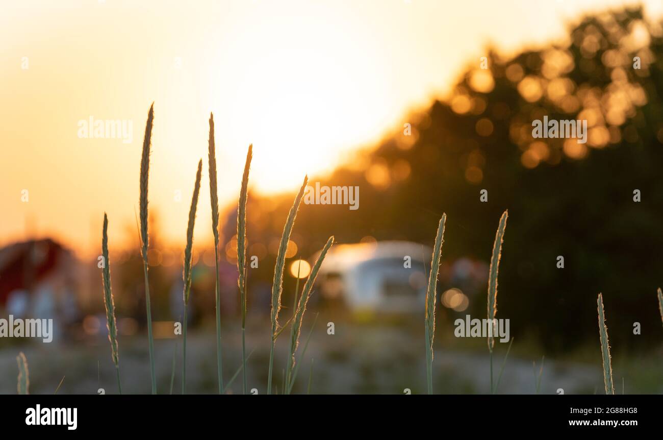 Magnifique bonne plage ensoleillée. Herbe sèche et morte à l'avant. Bar à cocktails à l'arrière dans le bokeh. Vacances ensoleillées dans la petite ville estonienne Parnu. Des vibes relaxantes au coucher du soleil Banque D'Images