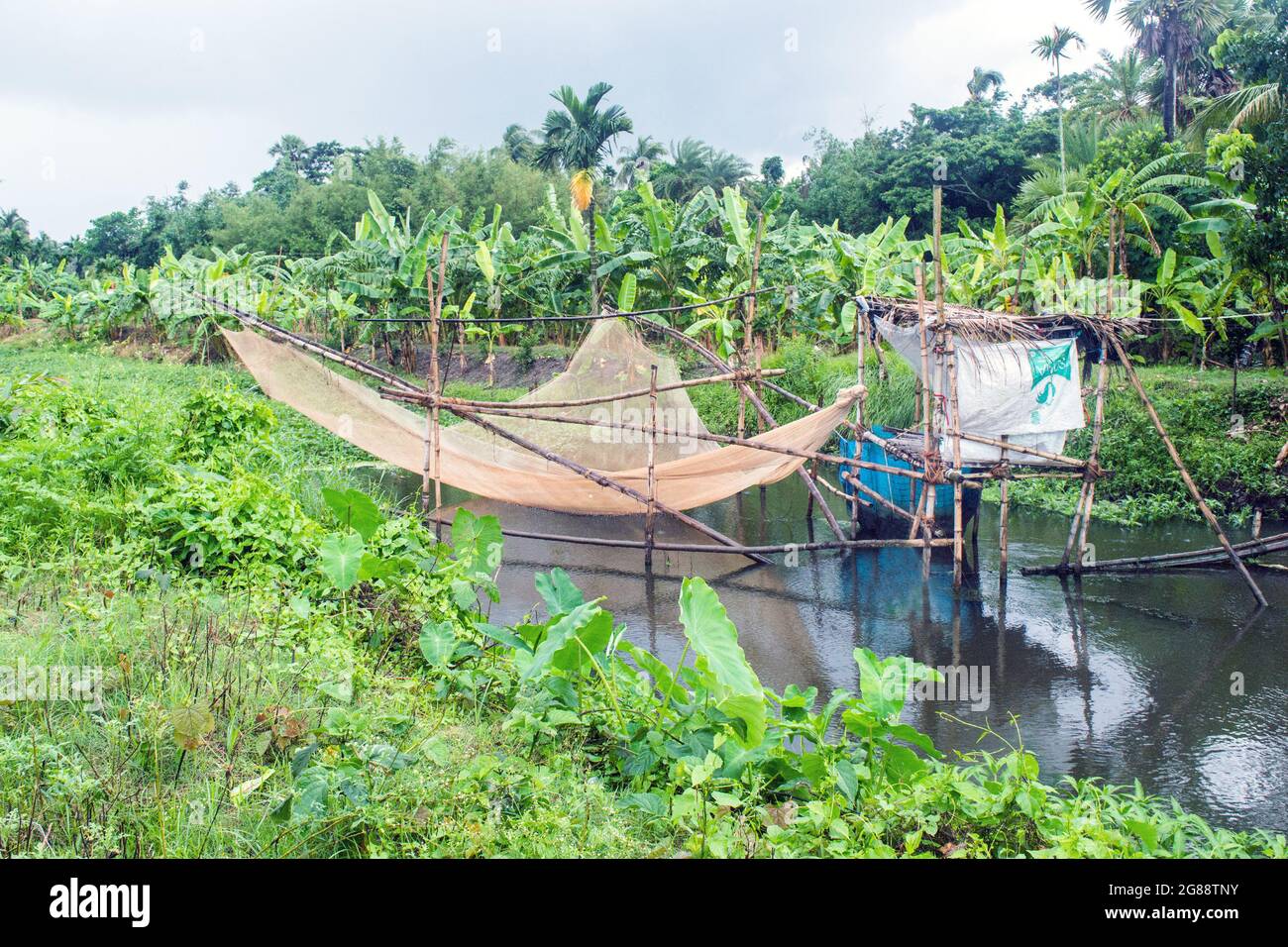 Photo d'un filet de pêche spécial de la région rurale du Sud 24 Parganas. Le filet est placé dans un cadre spécial en bambou. Banque D'Images