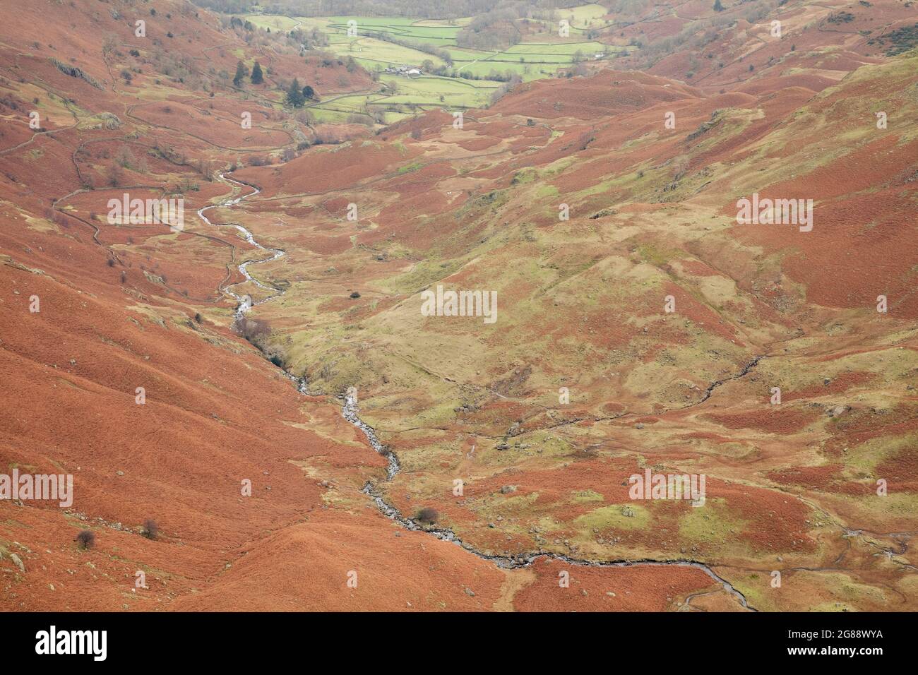 La vallée de Far Easedale près de Grasmere dans le Lake District, Cumbria, Royaume-Uni Banque D'Images