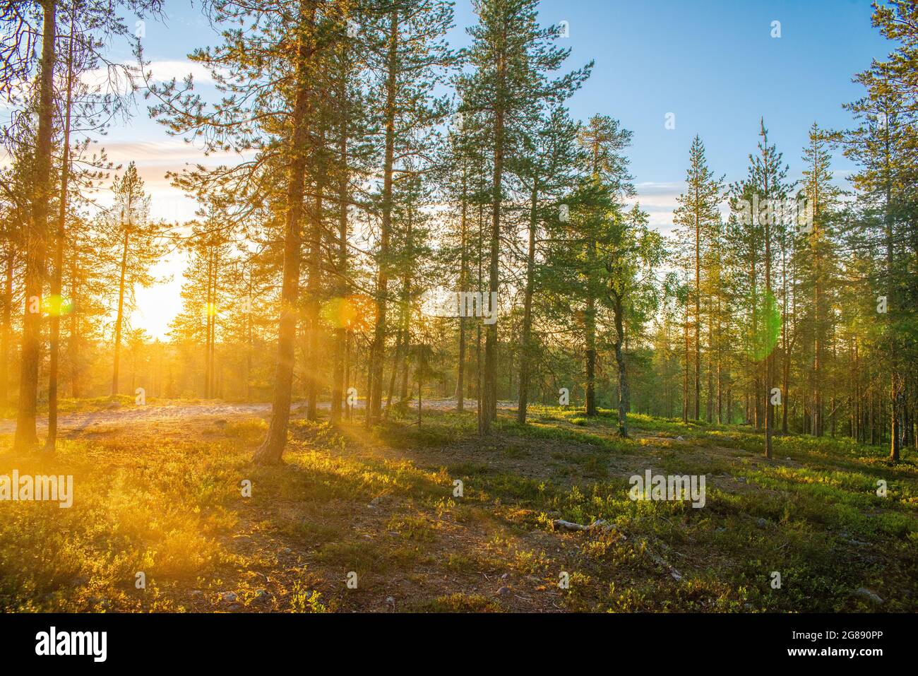 Une expérience extraordinaire, en regardant le soleil presque coucher à minuit dans les grands espaces de la Finlande. Banque D'Images