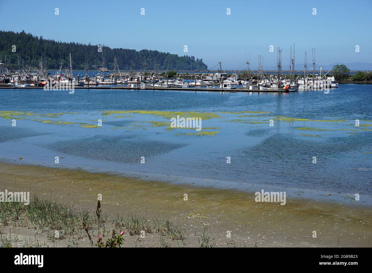 Neah Bay, Parc national olympique, Washington Banque D'Images