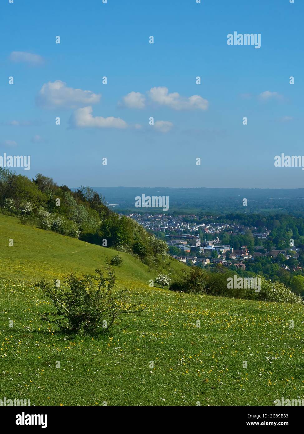 Un ciel bleu nuageux, une colline verte et les villes, les champs et les bois d'une vallée du Surrey. Un petit arbre est un point focal. Banque D'Images
