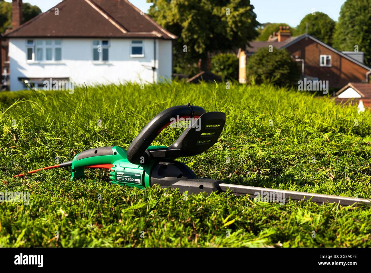 Taille-haies électriques sur une grande haie Leylandii au Royaume-Uni Banque D'Images