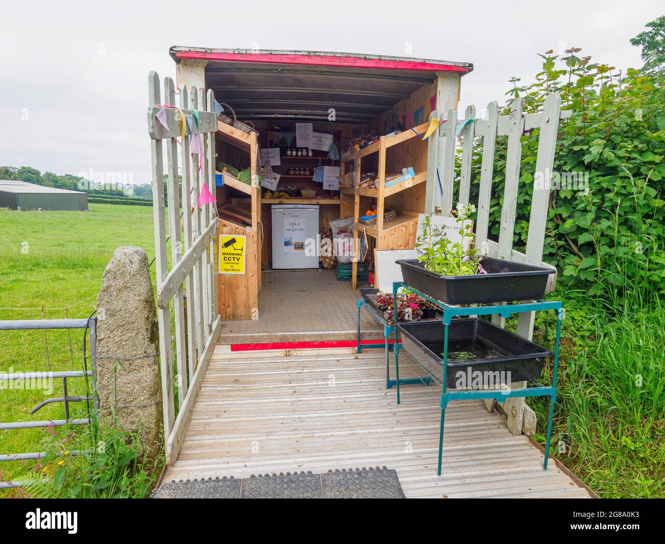 Les produits frais, fruits, légumes, lait et œufs de GEM étant vendus par un vieux camion de bétail sur le côté de la route, ferme de Trewey Sud, près de North Hill, Banque D'Images