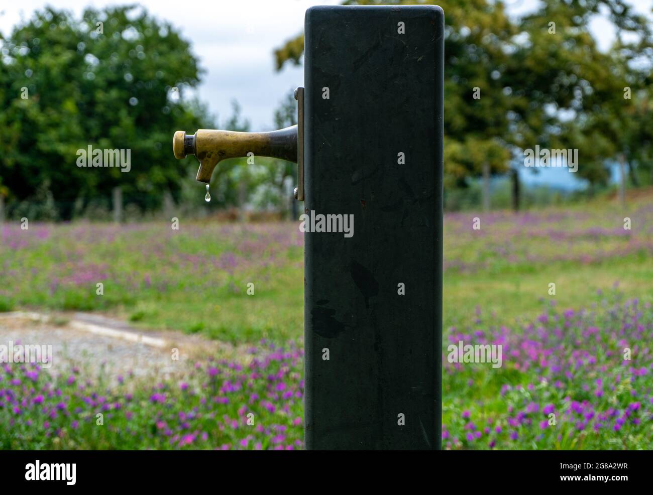 Fontaine du parc Banque D'Images