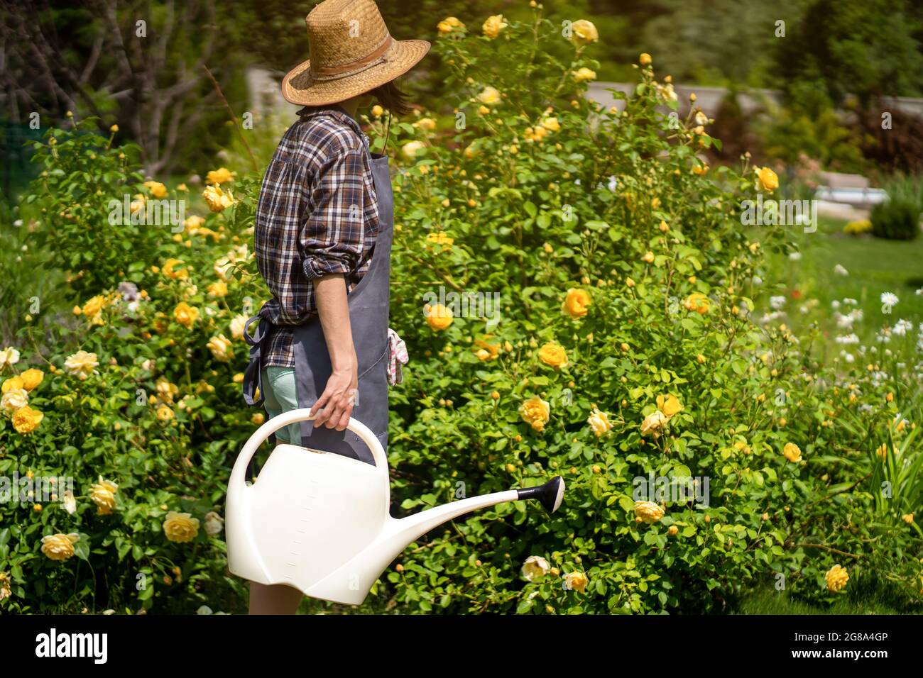 Un jardinier dans un chapeau de paille avec un tablier tient un arrosoir  pour les fleurs Photo Stock - Alamy