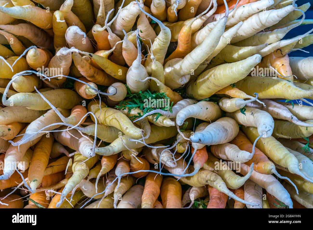 Produits et fleurs trouvés dans le marché agricole Banque D'Images