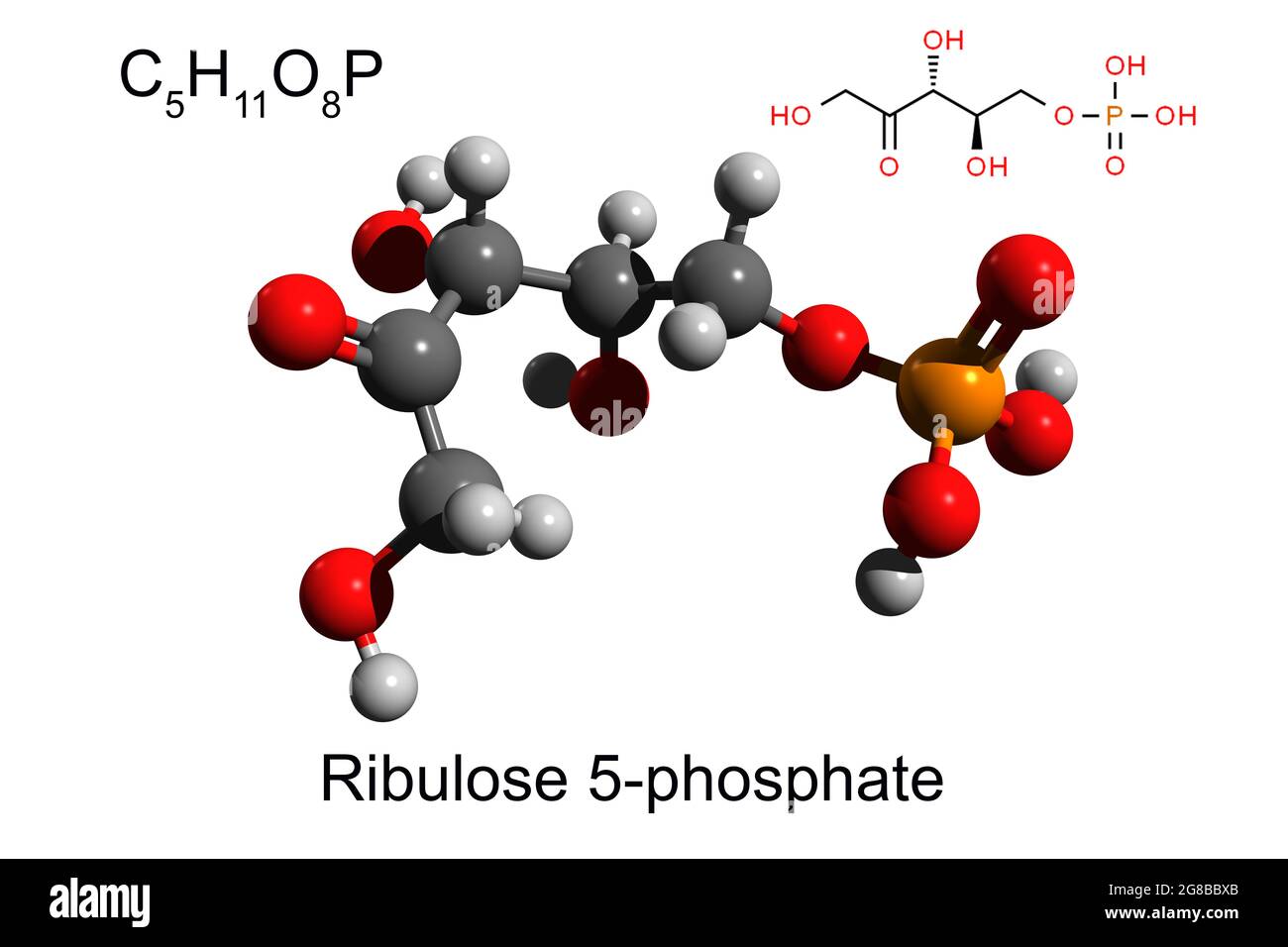Formule chimique, formule squelettique et modèle 3D à bille et bâton de 5-phosphate de ribulose, fond blanc Banque D'Images