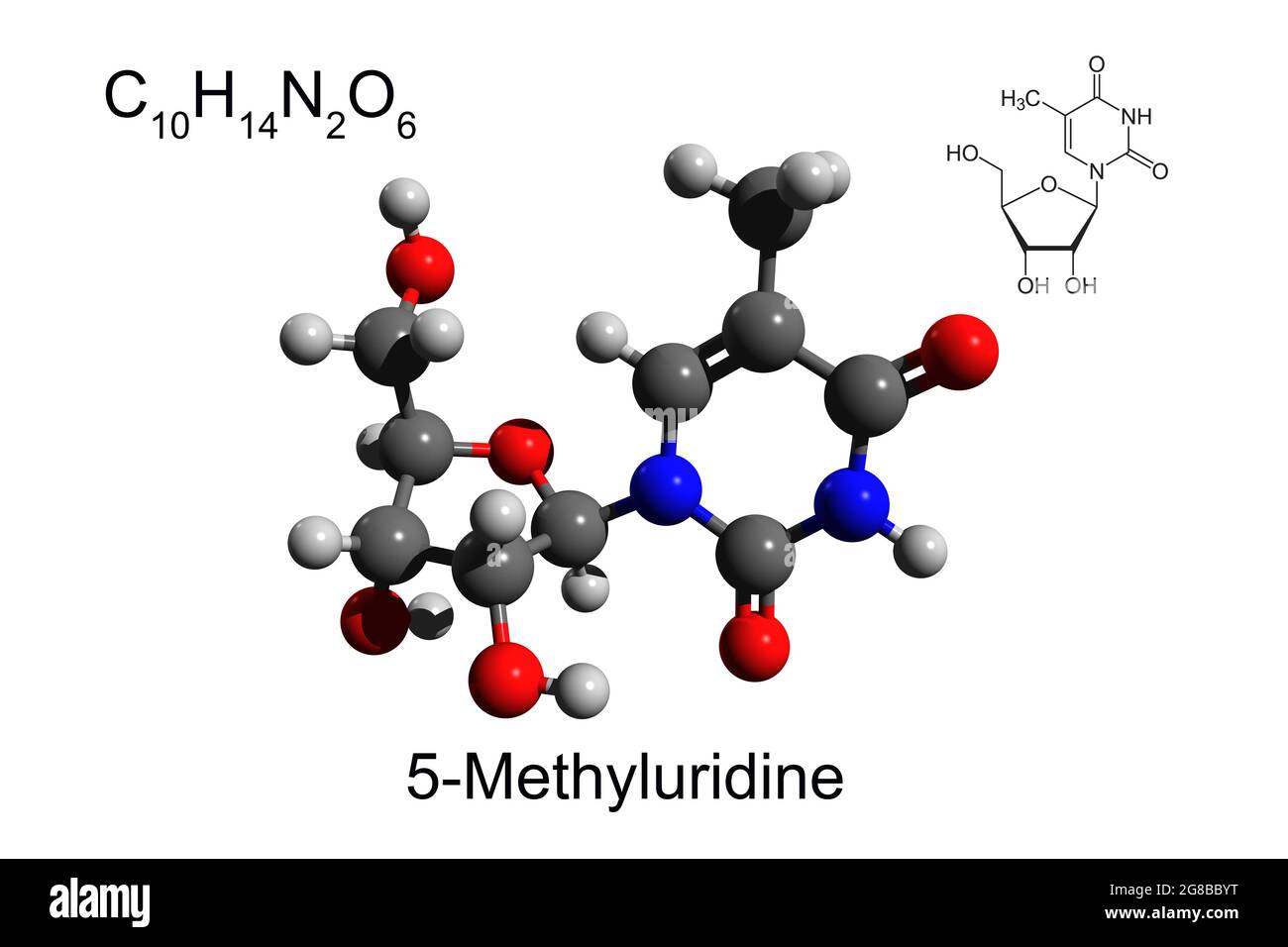 Formule chimique, formule squelettique et modèle 3D boule-et-bâton du nucléoside 5-méthyluridine, fond blanc Banque D'Images