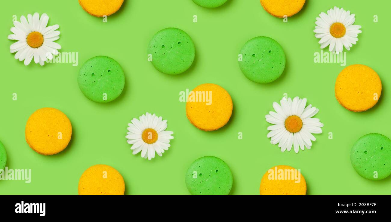 Fleur de camomille et macarons texture sans couture. Toile de fond à motif pâquerettes sur fond vert. Plan d'étapage avec vue de dessus Banque D'Images