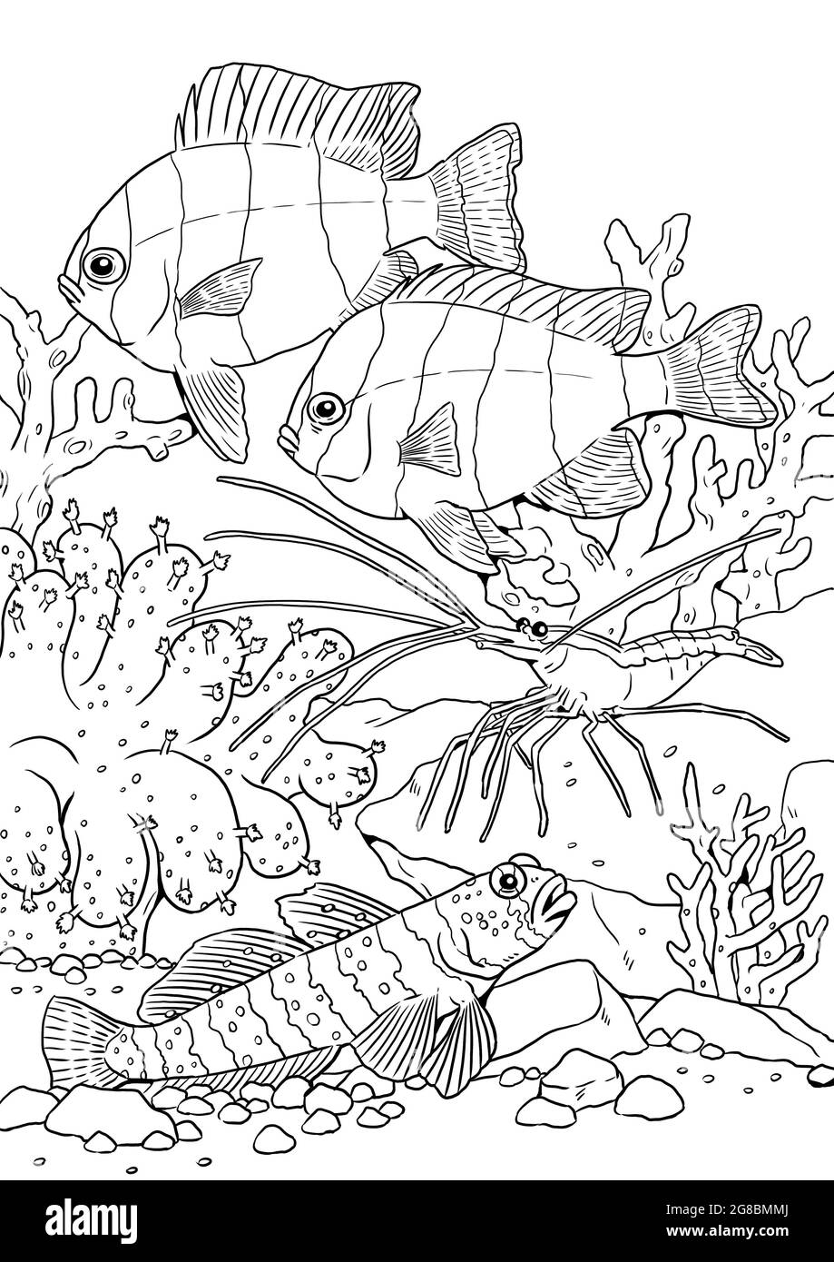 Poissons marins tropicaux avec crevettes. Modèle numérique coloré de poisson de mer. Livre de coloriage pour les enfants et les adultes. Banque D'Images
