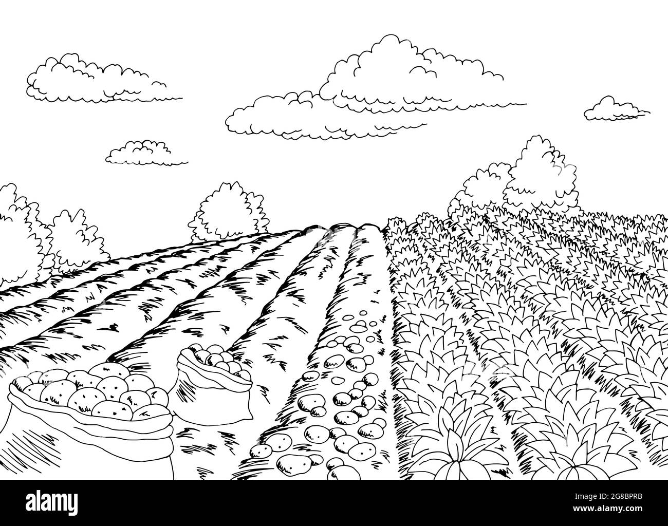 Cueillette des pommes de terre récolte graphique noir blanc paysage dessin illustration vecteur Illustration de Vecteur