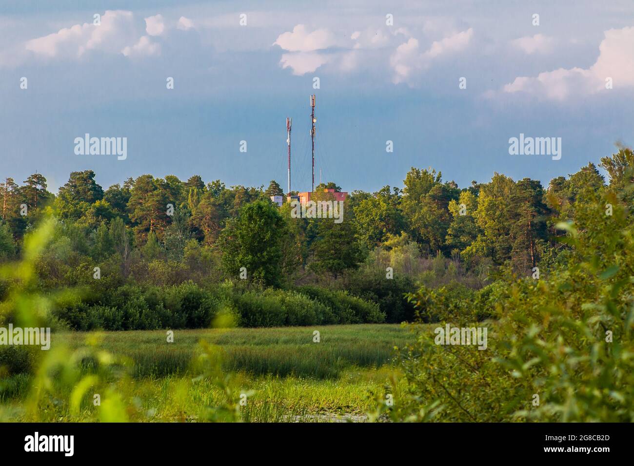 tour de réseau cellulaire dans une zone forestière Banque D'Images