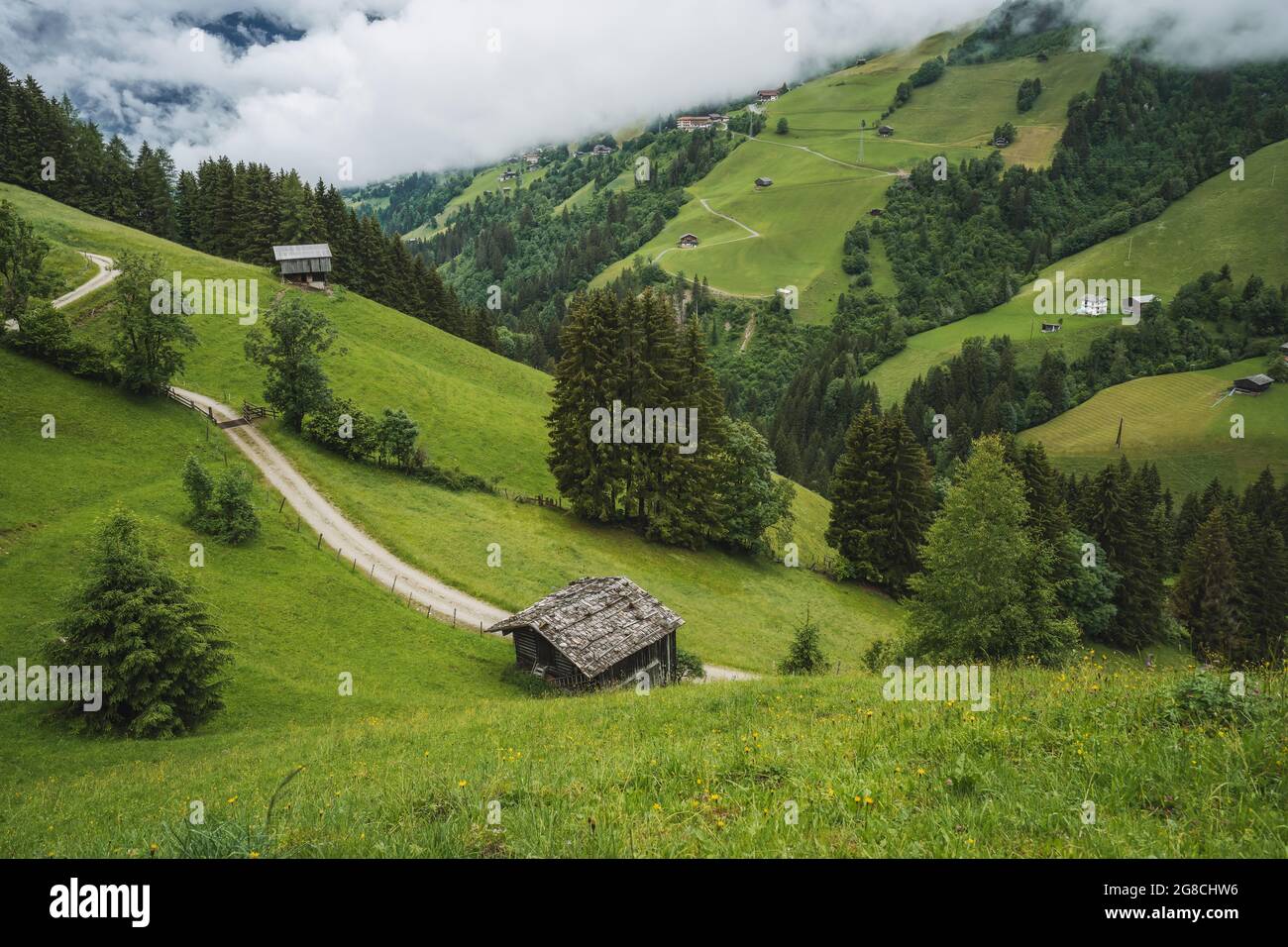 Belle nature idyllique vert prairie paysage des Alpes montagnes gamme le jour de l'été. Autriche photo aérienne Banque D'Images