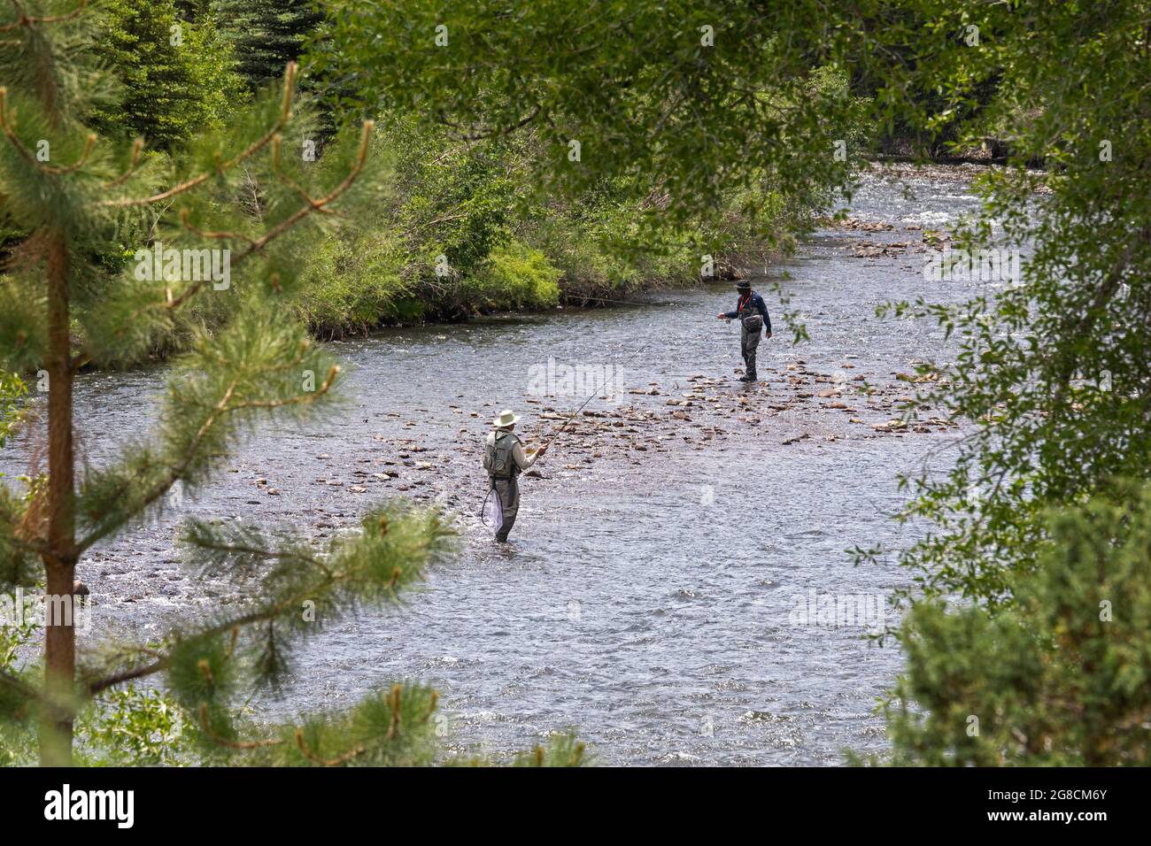 Fox Creek, Colorado - pêche dans la rivière Conejos dans la forêt nationale de Rio Grande. Banque D'Images