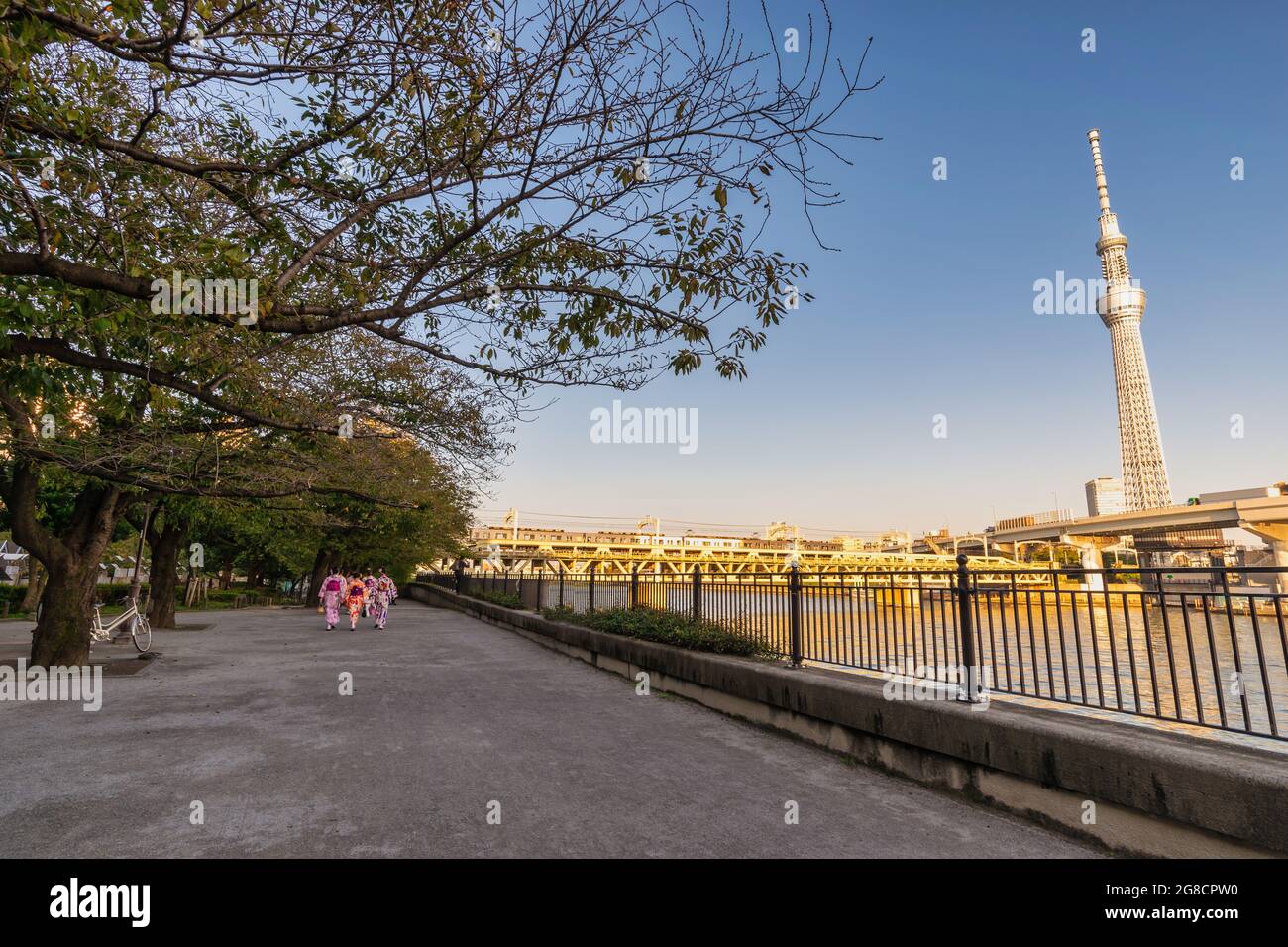 Tokyo, Japon - 26 octobre 2017 : Tokyo Japon, vue d'ensemble de la ville sur le fleuve Sumida et le Sky Tree Banque D'Images