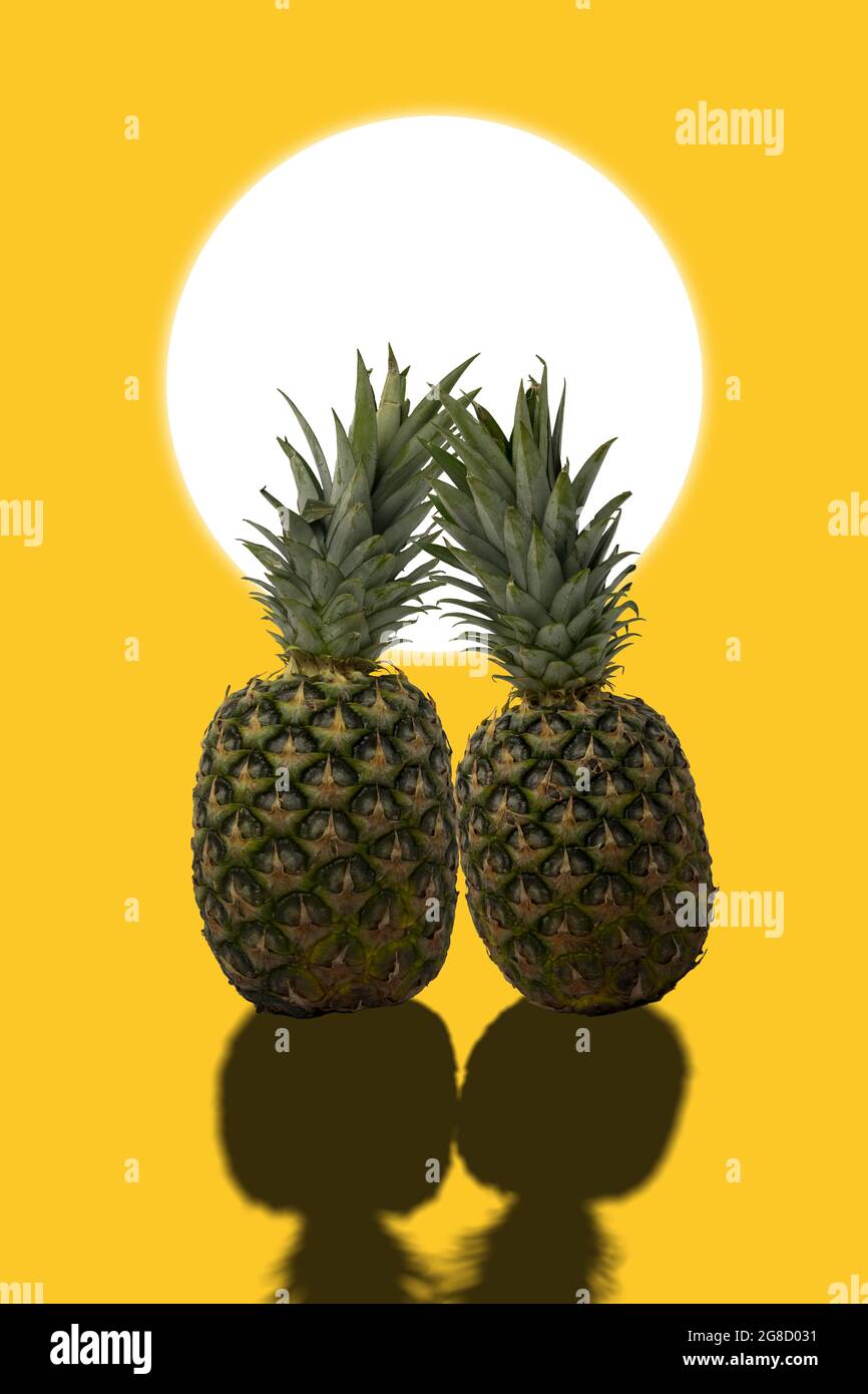 Deux ananas en amour au soleil chaud. Concept d'été. Banque D'Images