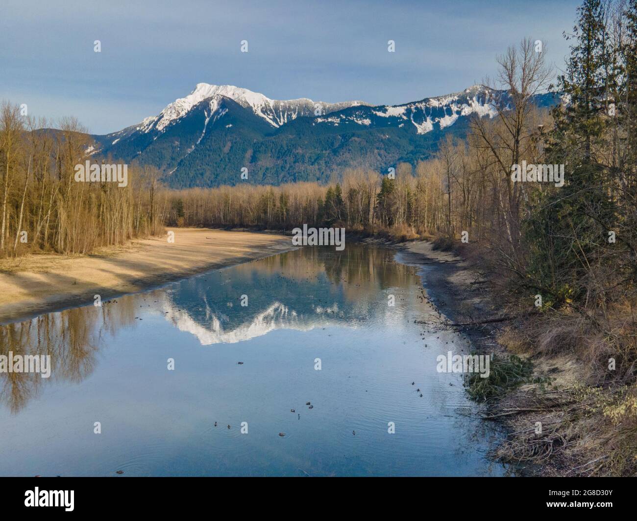Le fleuve Fraser près du parc provincial de Ferry Island avec le mont Cheam en arrière-plan. Banque D'Images