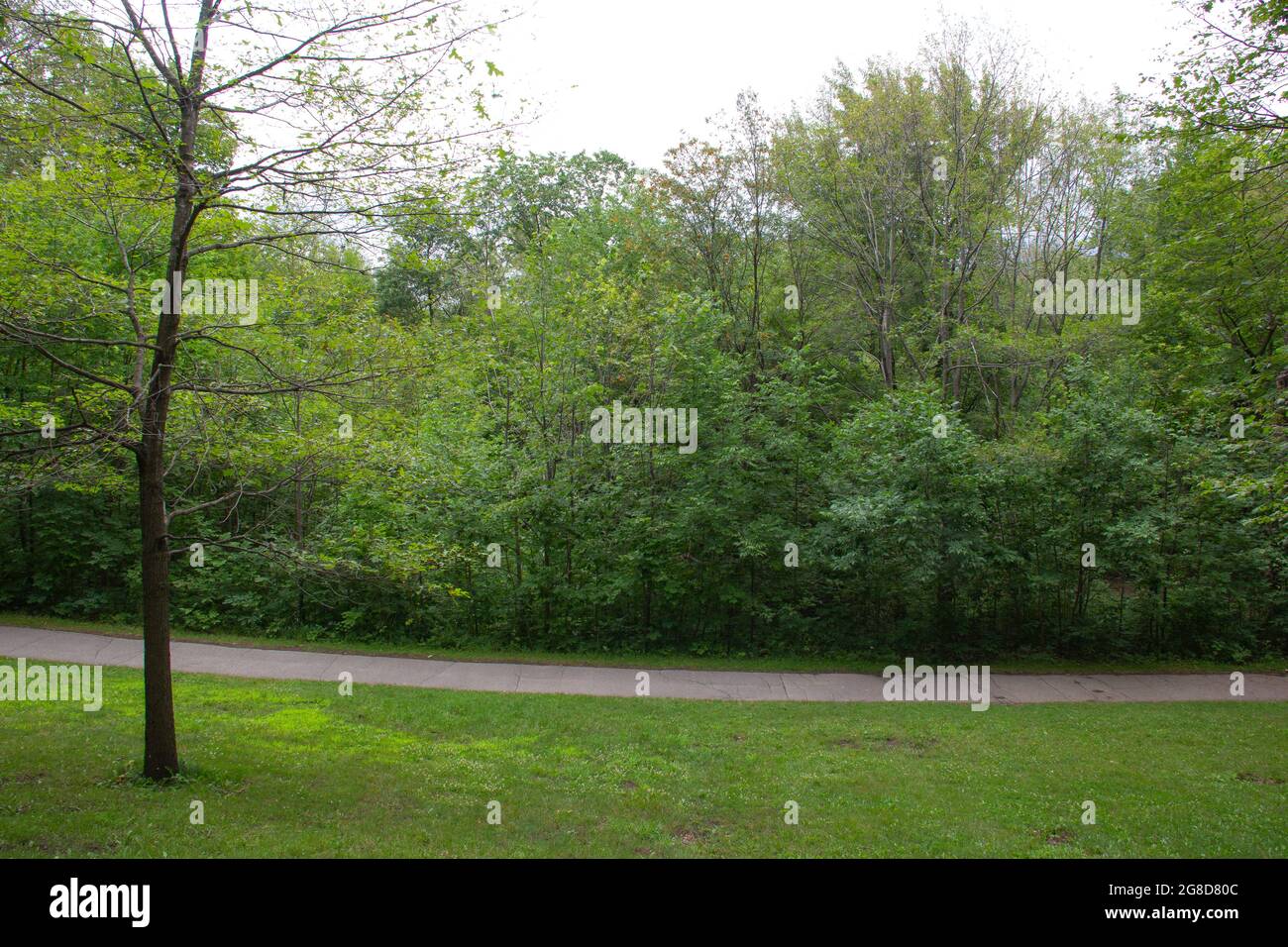 Chemin dans un parc boisé Banque D'Images