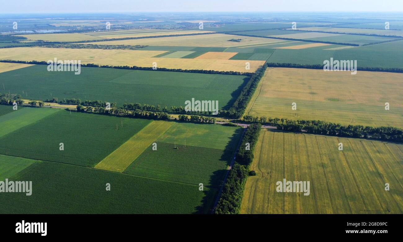 Vol aérien avec vue sur les drones au-dessus de différents champs agricoles semé Banque D'Images