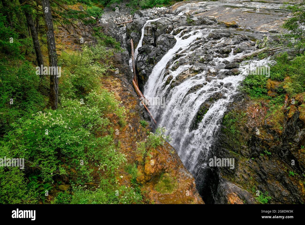 Cascade, parc provincial de la rivière Englishman Falls, île de Vancouver, Colombie-Britannique, Canada Banque D'Images
