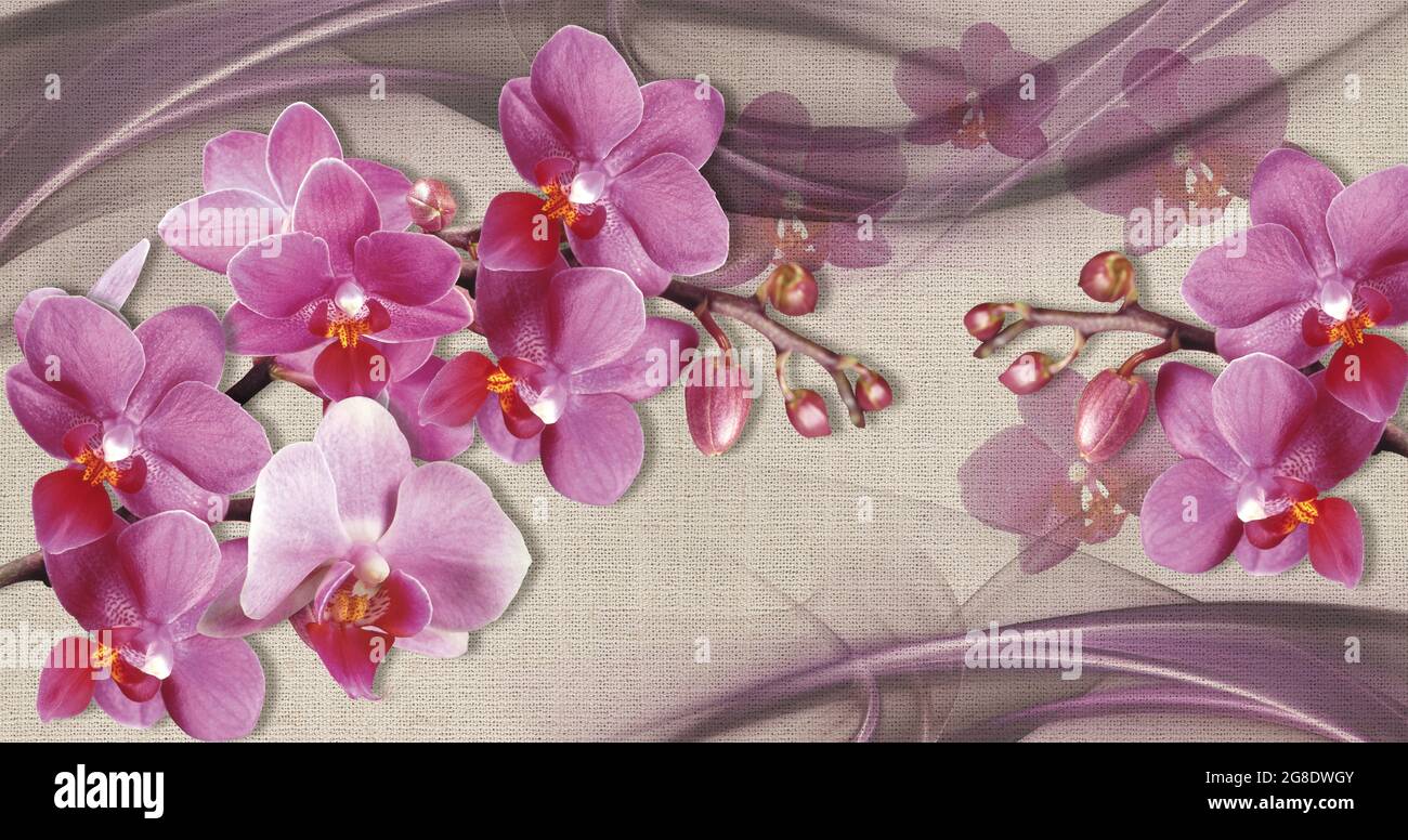 texture de papier peint 3d, orchidées roses sur texture toile de tissu. Banque D'Images