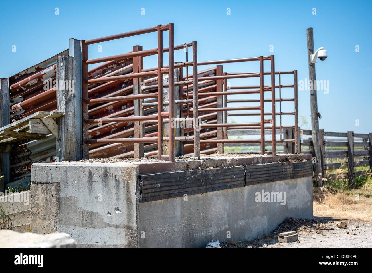 Chute de bétail en métal dans le Midwest rural Banque D'Images