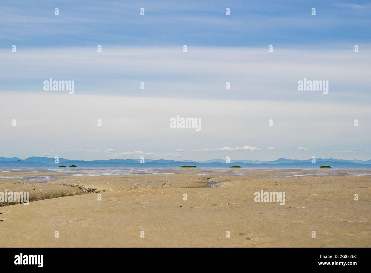 Des bancs de boue exposés à marée très basse lors d'une chaude journée d'été dans un estuaire fluvial dans le sud de la Colombie-Britannique. Banque D'Images