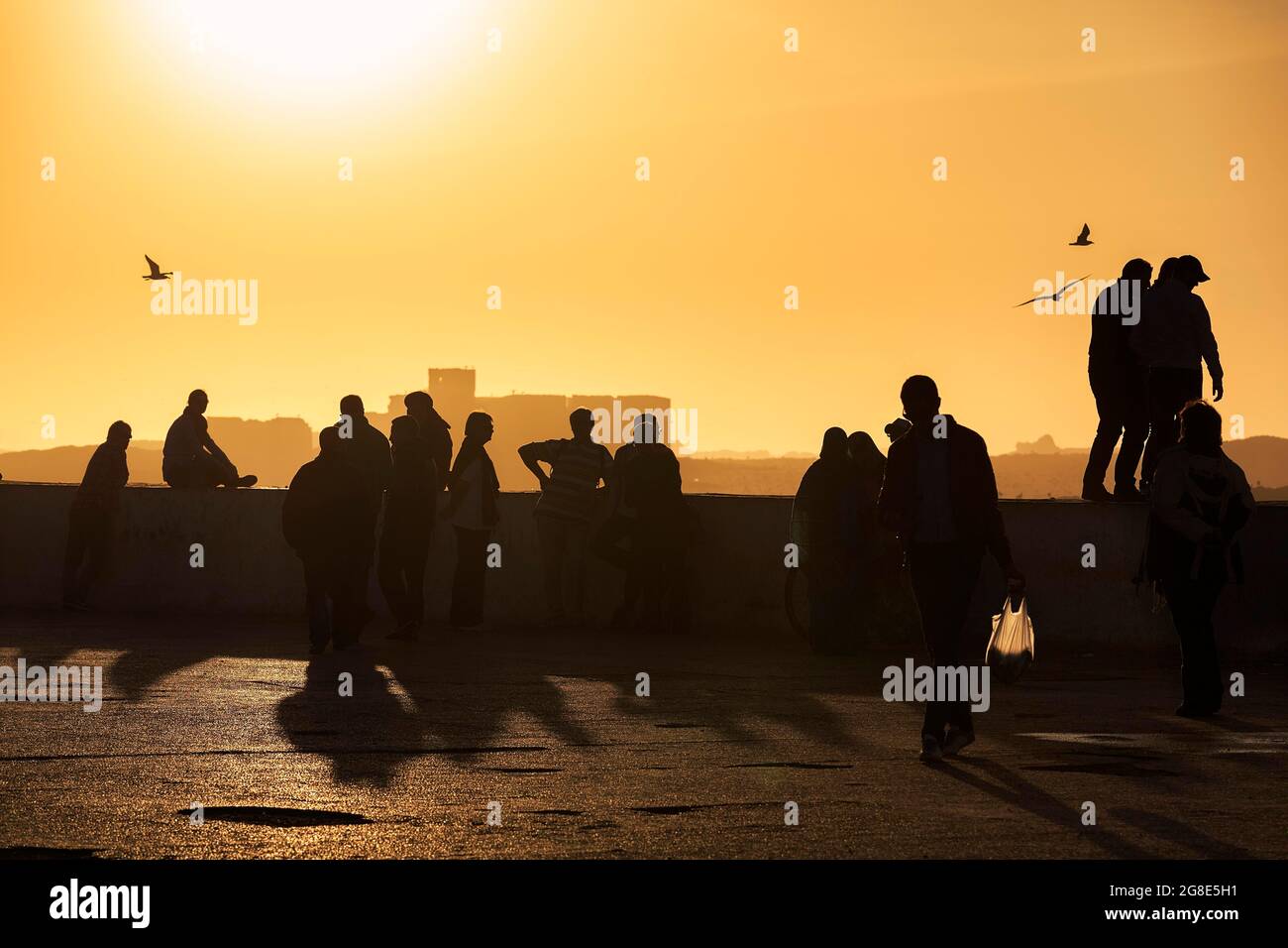 Beaucoup de gens, silhouettes sur un mur, profiter du coucher de soleil, Essaouira, côte Atlantique, Marrakech-Safi, Maroc Banque D'Images
