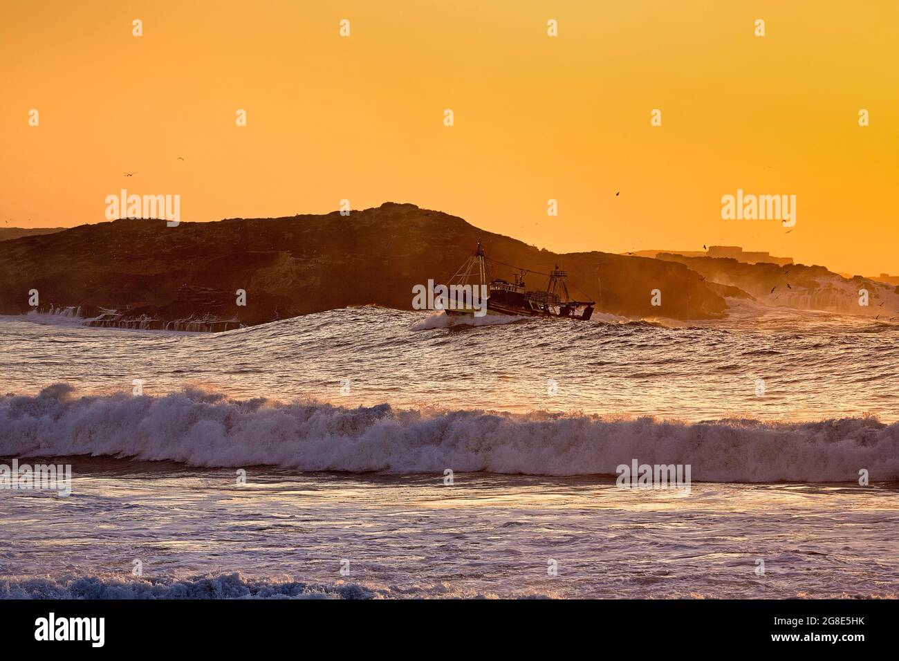 Bateau de pêche avec mouettes dans le surf, coucher de soleil sur l'île de Mogador, côte Atlantique, Essaouira, Marrakech-Safi, Maroc Banque D'Images