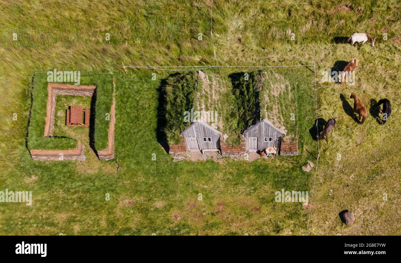 Chevaux islandais broutant autour de cheval stable et hangar à outils dans la construction de tourbe originale, Lytingsstaoir, Nord-Islande, Islande Banque D'Images