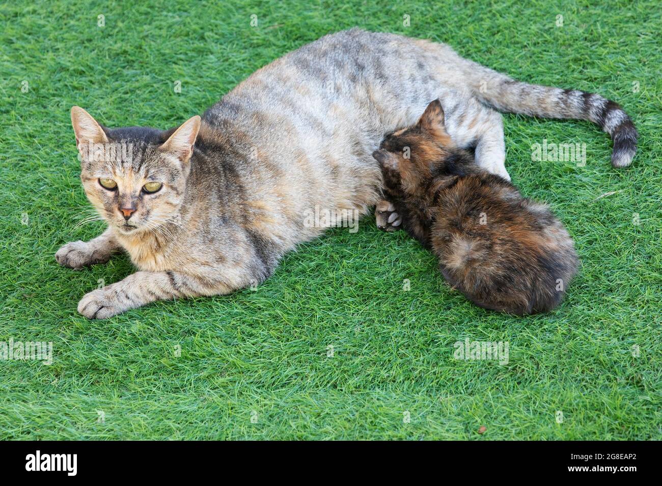 Israeli Mother Baby Banque De Photographies Et D Images A Haute Resolution Alamy