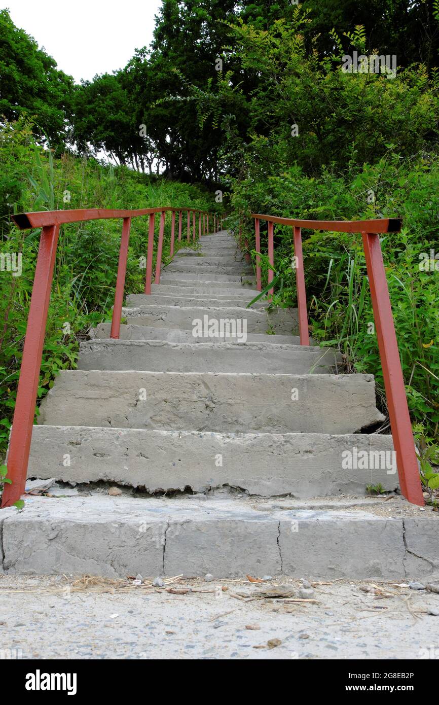 Surcultivé avec de l'herbe, un long escalier en béton avec une rambarde en fer va loin vers le haut dans un épais d'arbres verts. Mise au point sélective. Banque D'Images